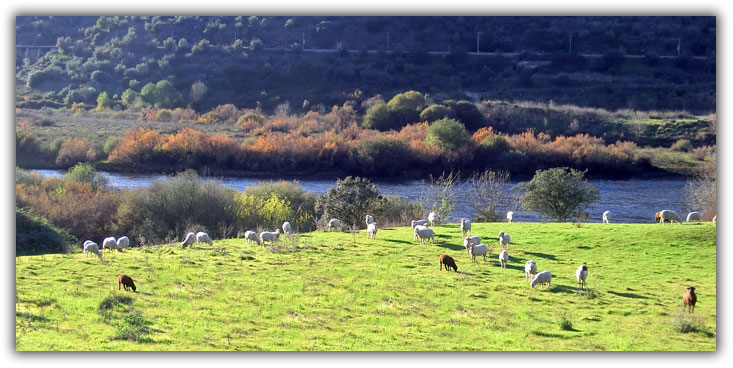 Herdade de Jans